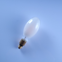 40W E27 ED90 LED Filament Street Light Bulb (Coated)